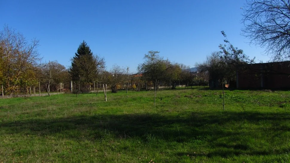 Chalet con finca y bodega