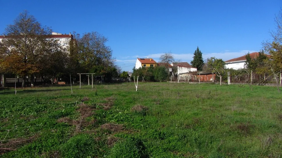 Chalet con finca y bodega
