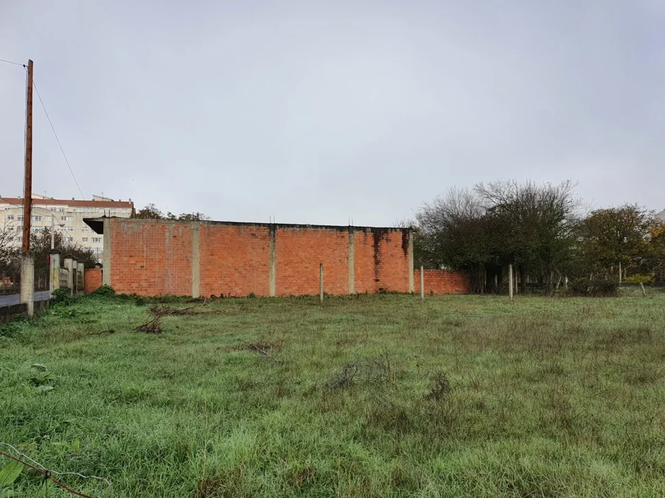 Chalet con finca y bodega