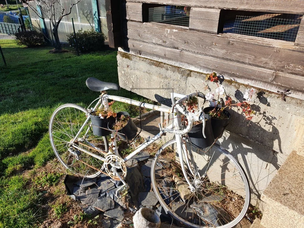 Chalet de madera con piscina