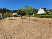 Finca en o baño, mugardos