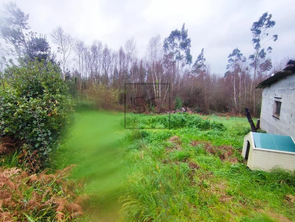 Casa con finca y dos bodegas en san saturnino, san sadurniño