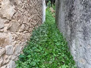 Para rehabilitar en mourela, neda