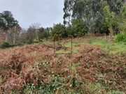 Para rehabilitar en mourela, neda