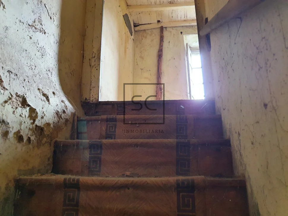 Para rehabilitar en mourela, neda