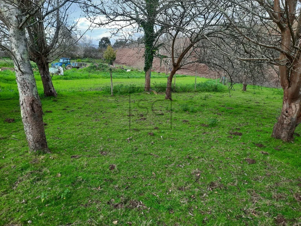 Casa para reforma zona piñeiros, narón