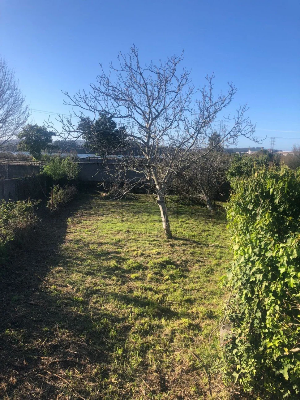 Adosado con espectacular finca en el centro de neda