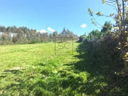 Casa en venta con reciente reforma y gran extensión de terreno