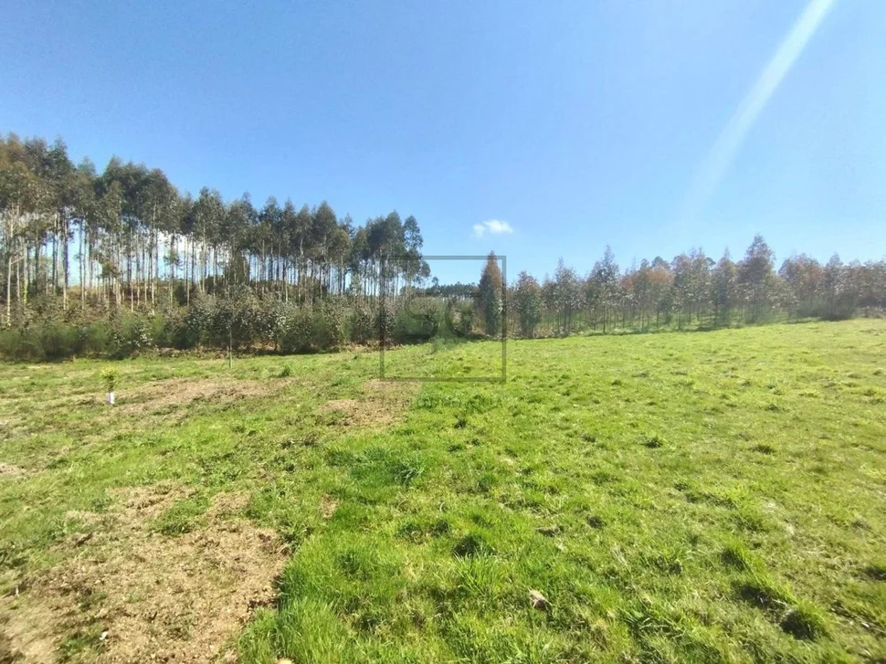 Casa en venta con reciente reforma y gran extensión de terreno