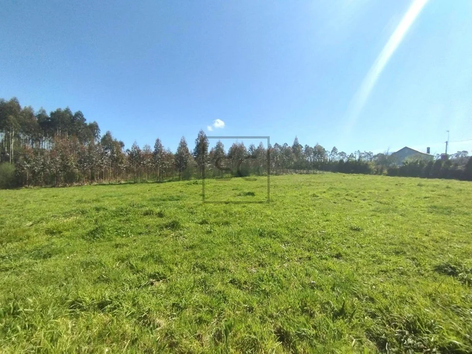 Casa en venta con reciente reforma y gran extensión de terreno