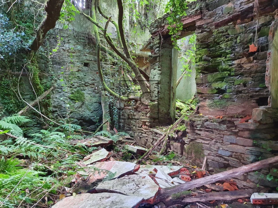 Para rehabilitar en forcadas, valdoviño