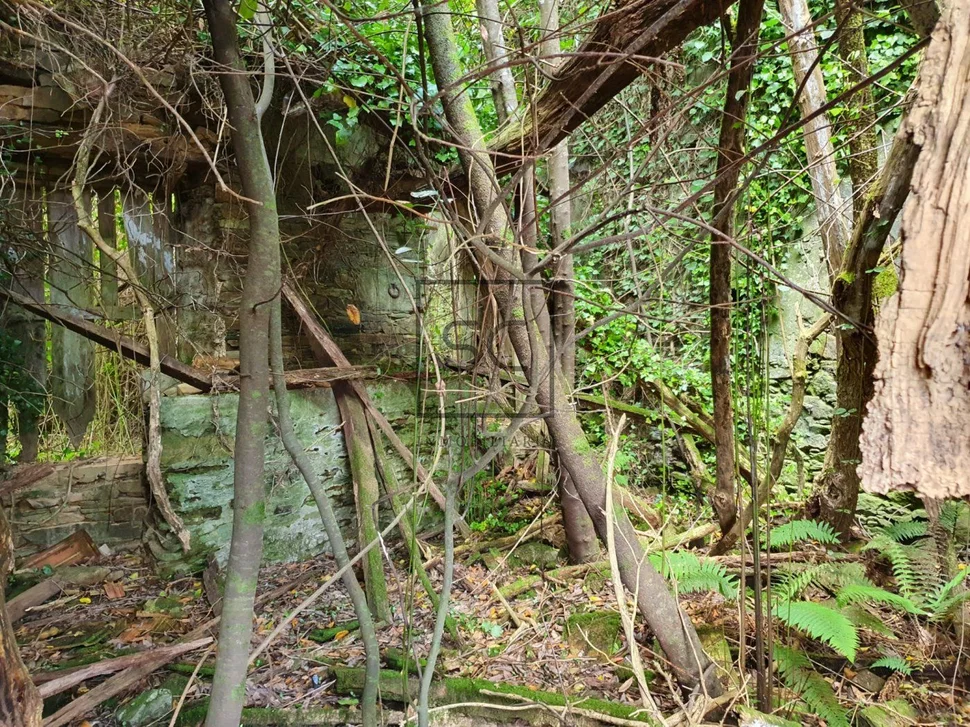 Para rehabilitar en forcadas, valdoviño
