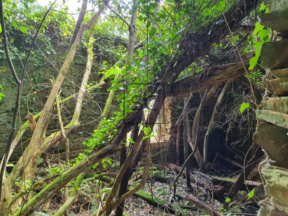 Para rehabilitar en forcadas, valdoviño