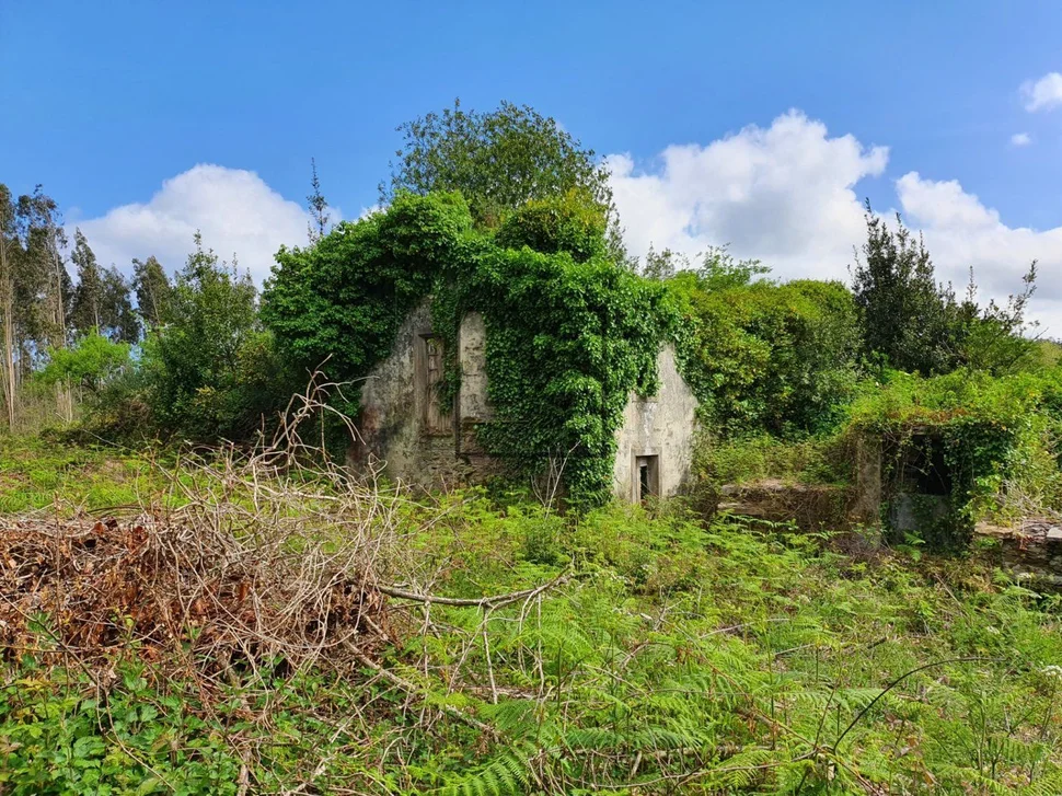Para rehabilitar en forcadas, valdoviño