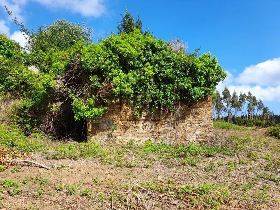 Para rehabilitar en forcadas, valdoviño