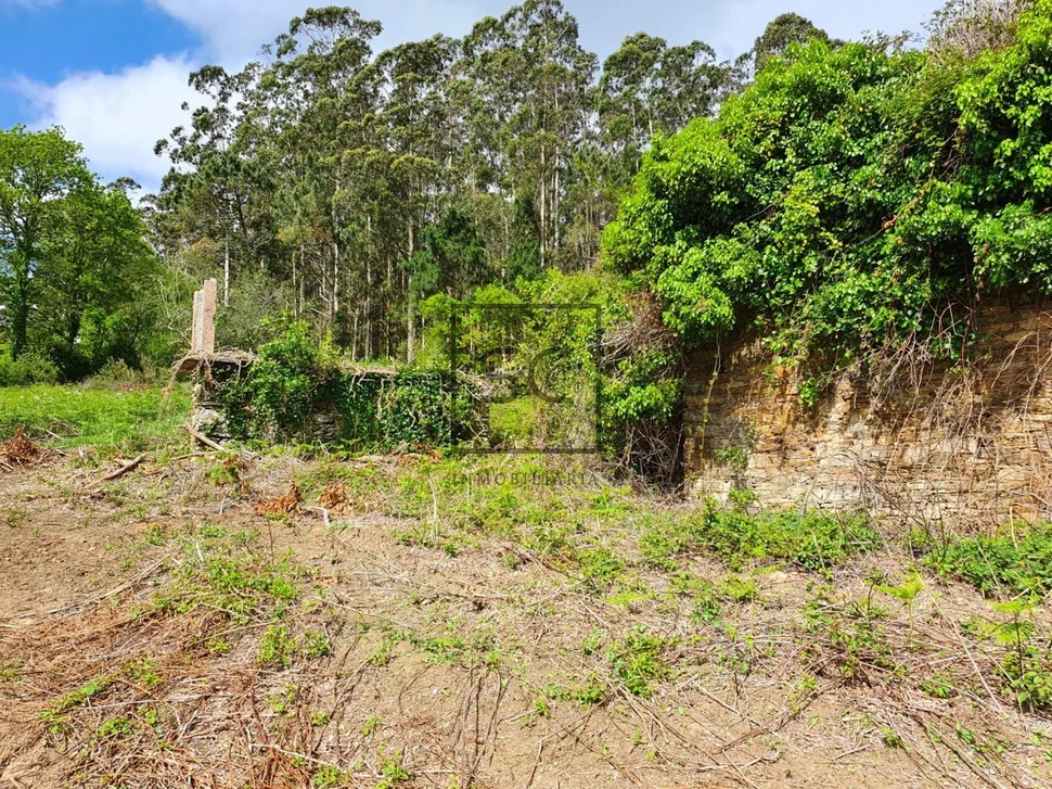 Para rehabilitar en forcadas, valdoviño