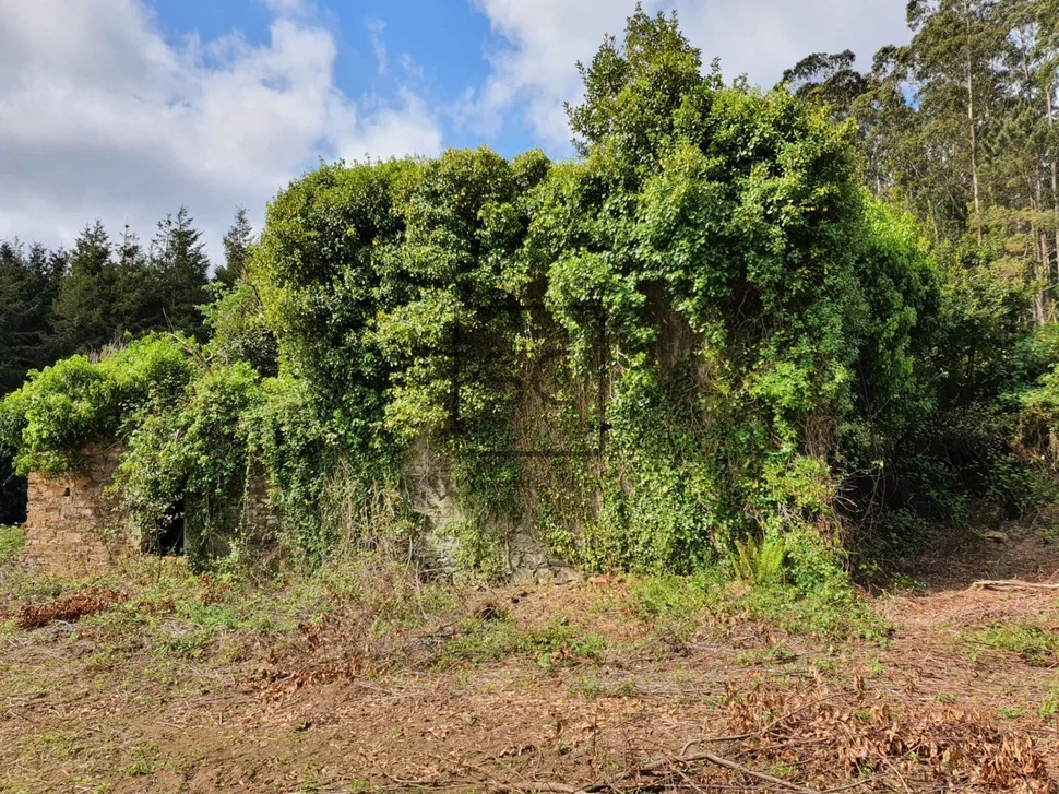 Para rehabilitar en forcadas, valdoviño