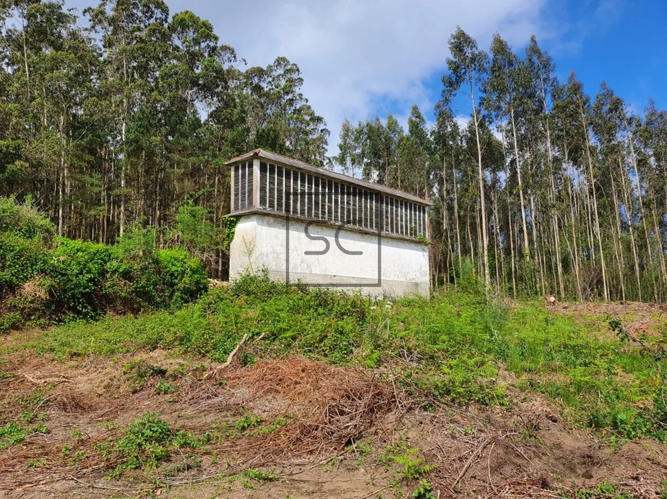 Para rehabilitar en forcadas, valdoviño