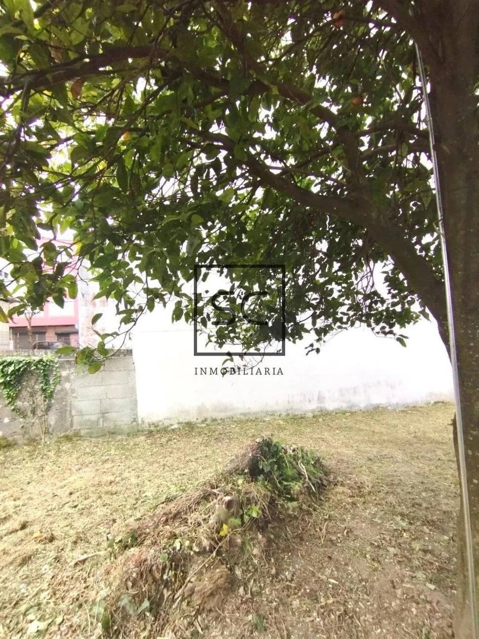 Piso centrico y soleado en naron con terreno y bodega