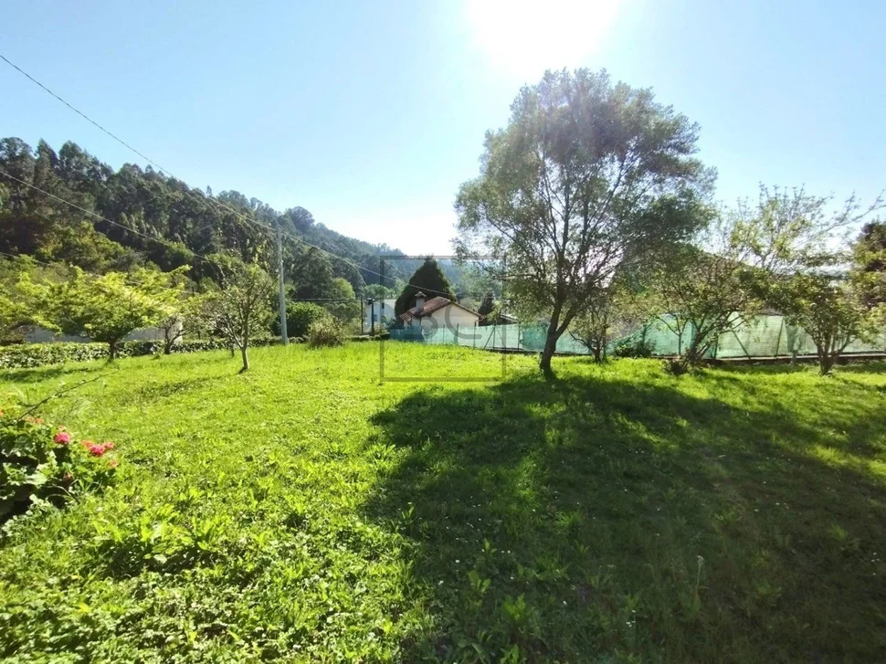 Casa de campo con terreno urbanizable y bodegas en fene
