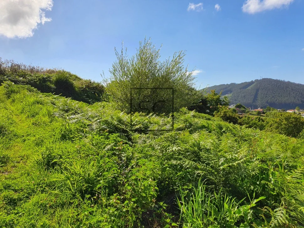 Casa con vistas a la playa