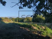 Amplia casa con terreno en bemantes, miño