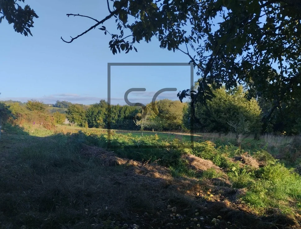Amplia casa con terreno en bemantes, miño