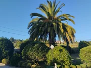 Amplia casa con terreno en bemantes, miño