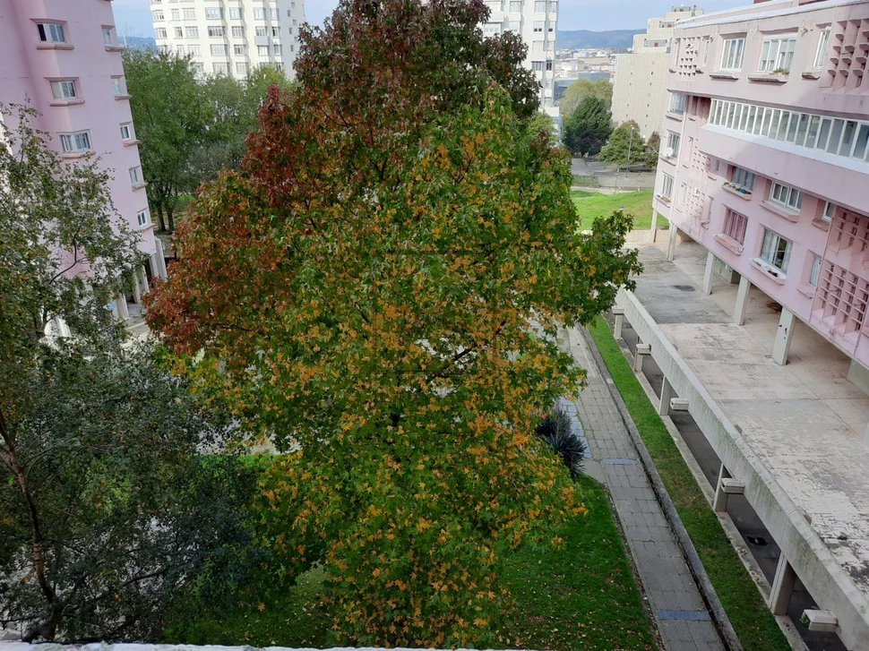 Duplex descendente de 5 habitaciones, ascensor y garaje rotatorio en caranza, ferrol