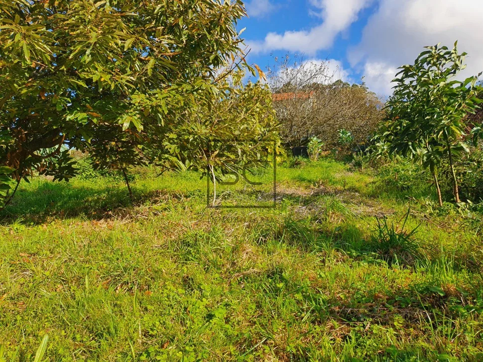 Casa con finca y paneles solares en régoa, cedeira
