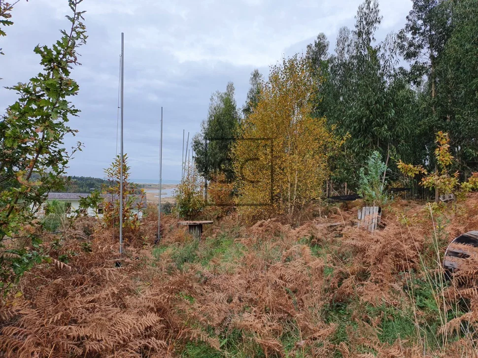 Finca ideal para negocio en el lago, valdoviño