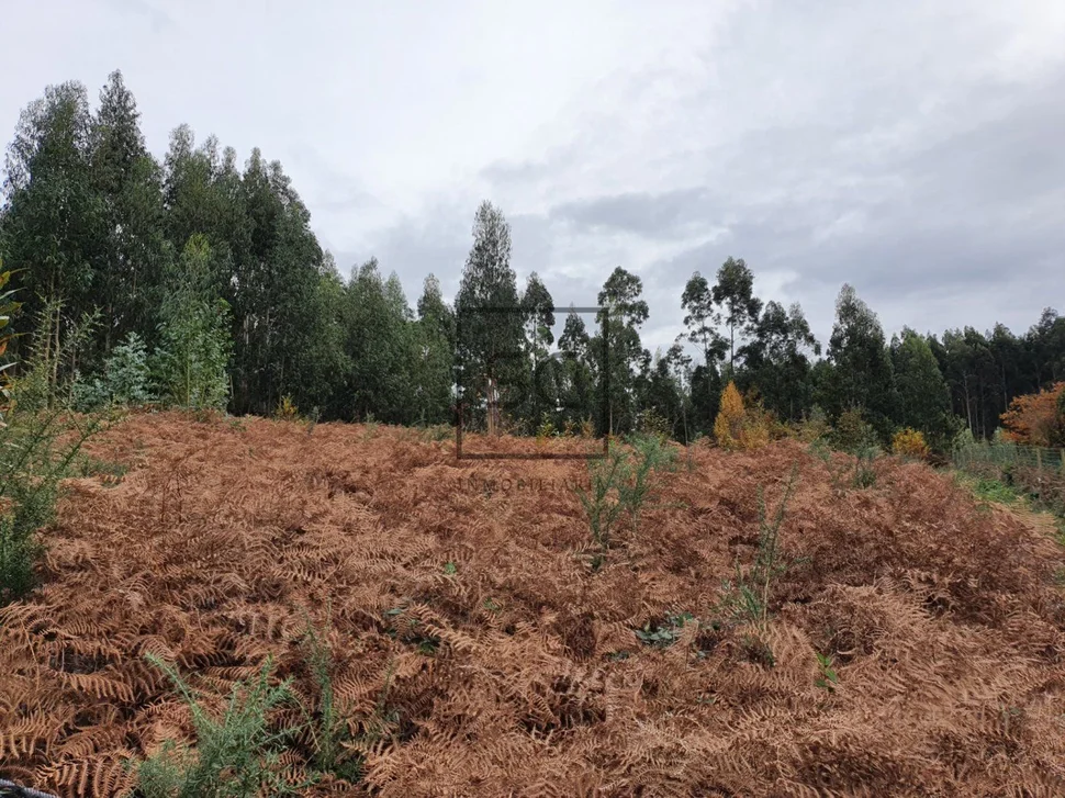 Finca ideal para negocio en el lago, valdoviño