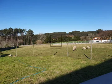Casa de 3 plantas con finca en sedes-narón