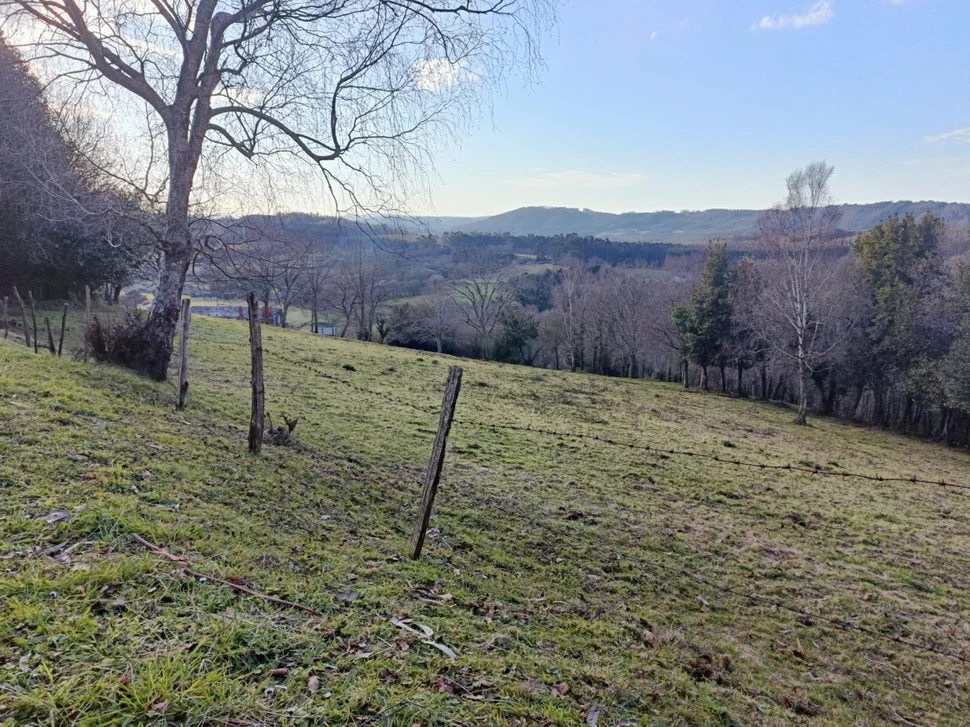 Casa de piedra para reformar en somozas