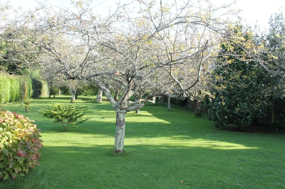 Casa con 6 habitaciones en castro
