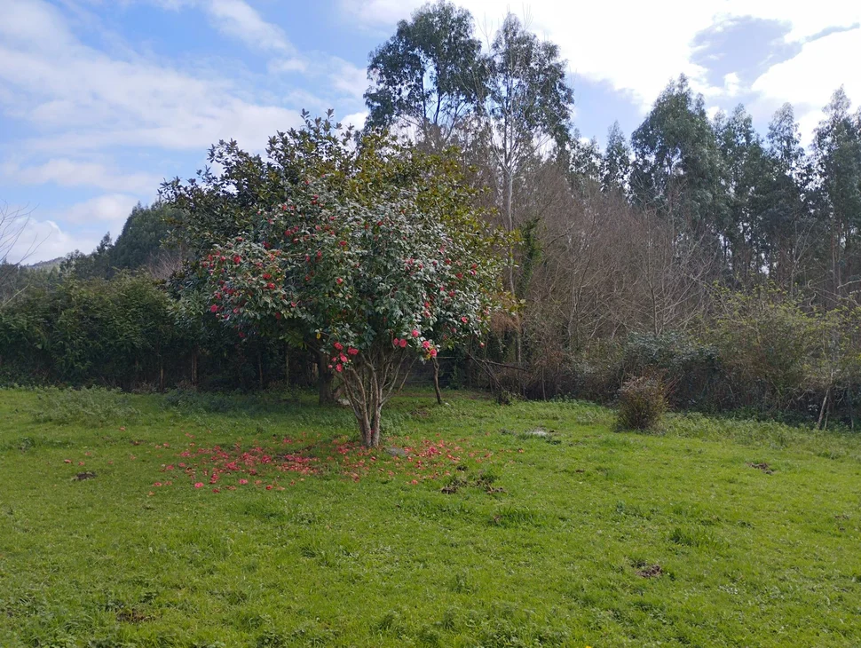 Casa para reformar en a bedoxa
