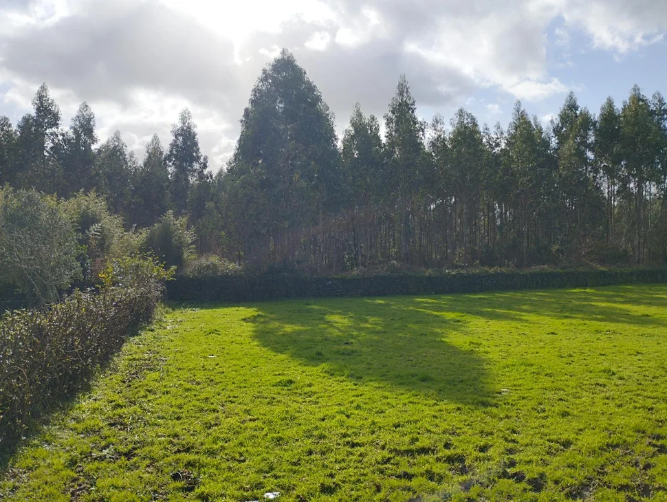 Casa para reformar en a bedoxa