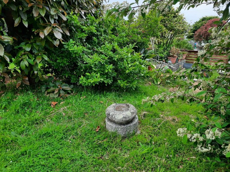 Mes de julio en valdoviño