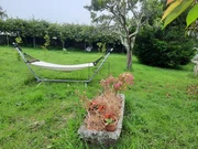 Mes de julio en valdoviño