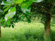 Casa de campo en cerdido, cerdido