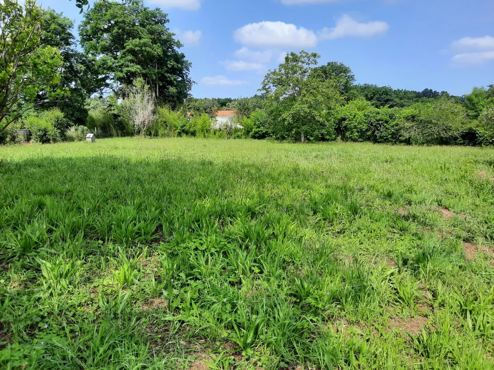 Casa de piedra enfoscada con finca en bartolo, valdoviño