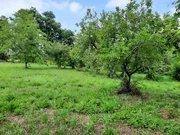 Casa de piedra enfoscada con finca en bartolo, valdoviño