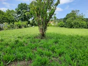 Casa de piedra enfoscada con finca en bartolo, valdoviño