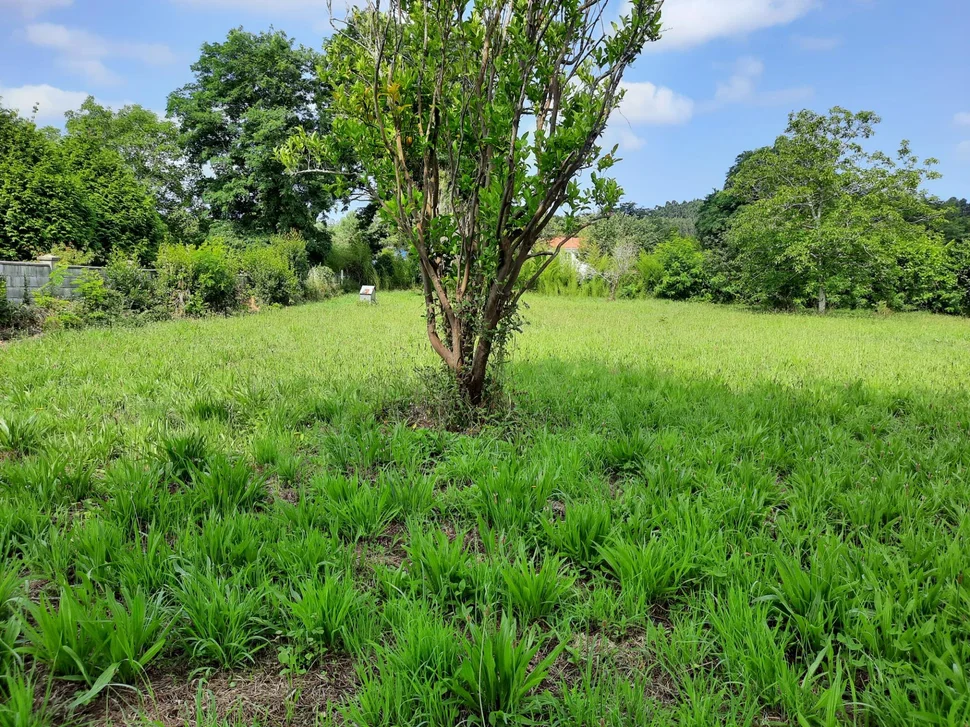 Casa de piedra enfoscada con finca en bartolo, valdoviño