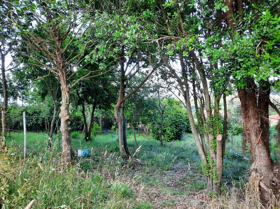 Casa rústica en o pieiro (doniños)