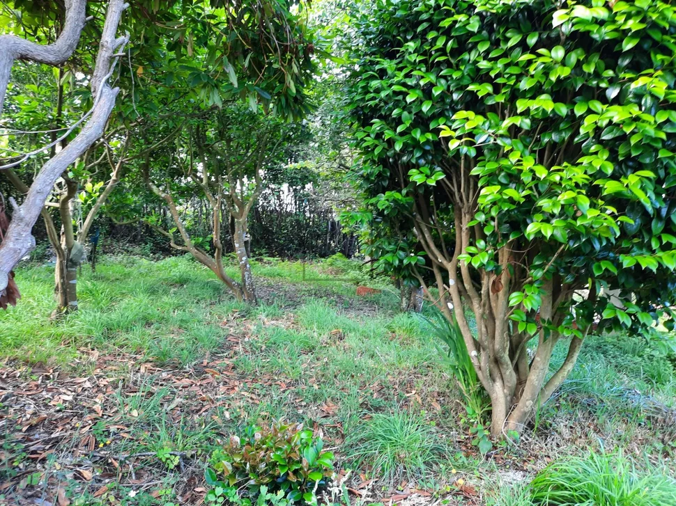 Casa rústica en o pieiro (doniños)