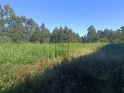 Nave y terreno en narón