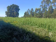 Nave y terreno en narón