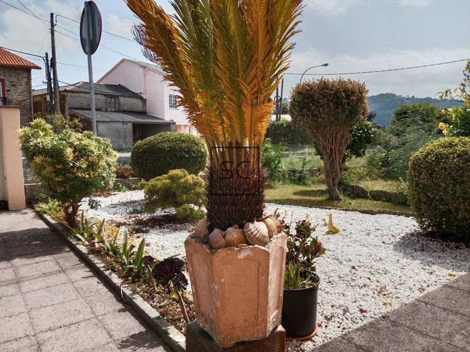 Planta baja en casa unifamiliar
