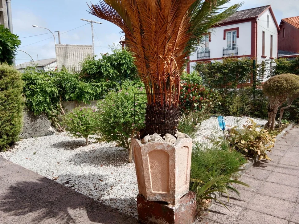 Planta baja en casa unifamiliar